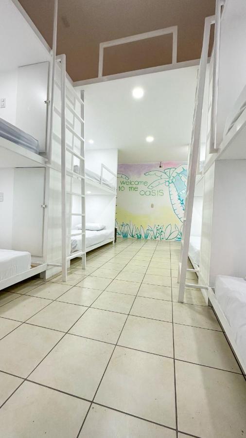 Sjo Oasis Hostel 산호세 외부 사진