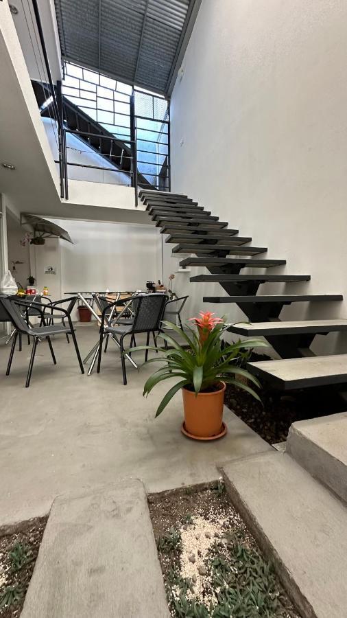 Sjo Oasis Hostel 산호세 외부 사진