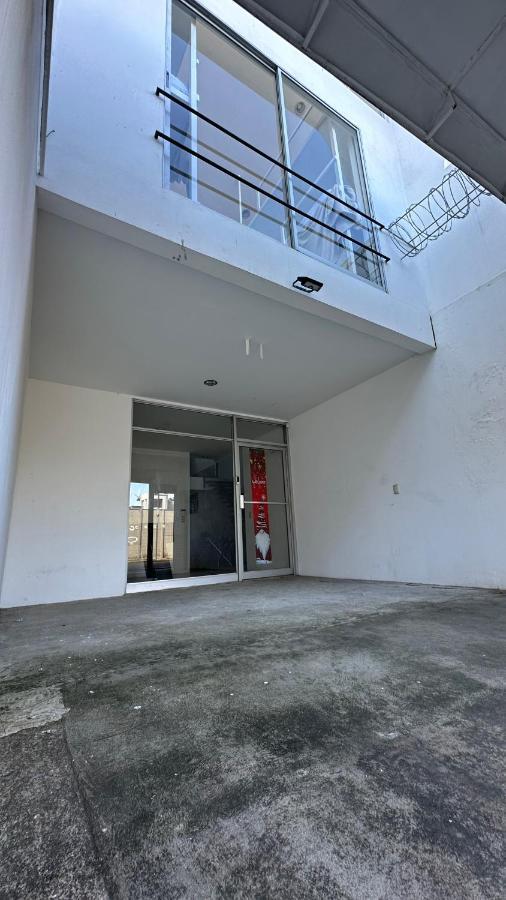 Sjo Oasis Hostel 산호세 외부 사진