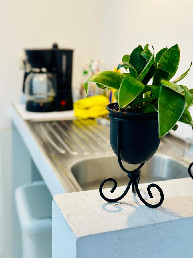 Sjo Oasis Hostel 산호세 외부 사진