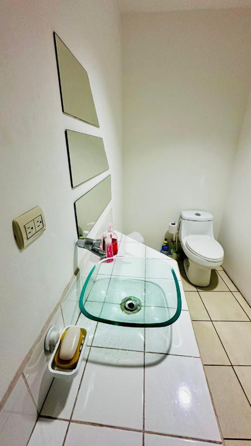 Sjo Oasis Hostel 산호세 외부 사진